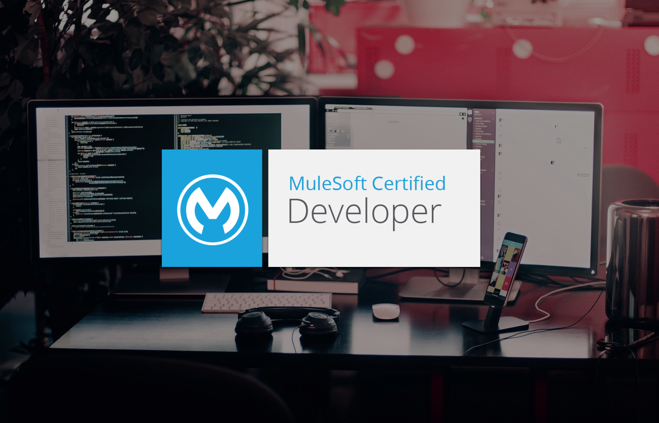 MuleSoft Certified Developer