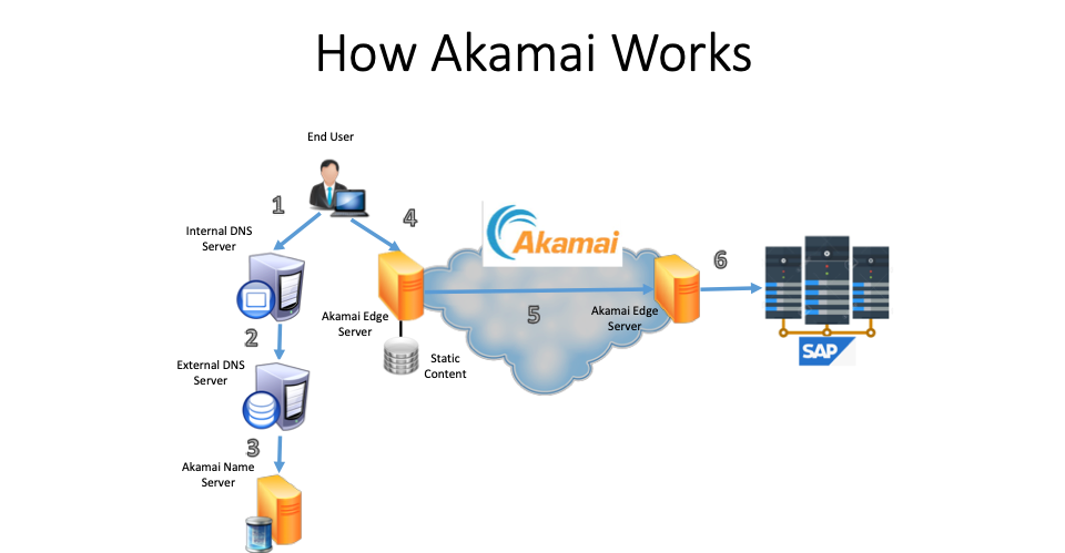 learning management systems